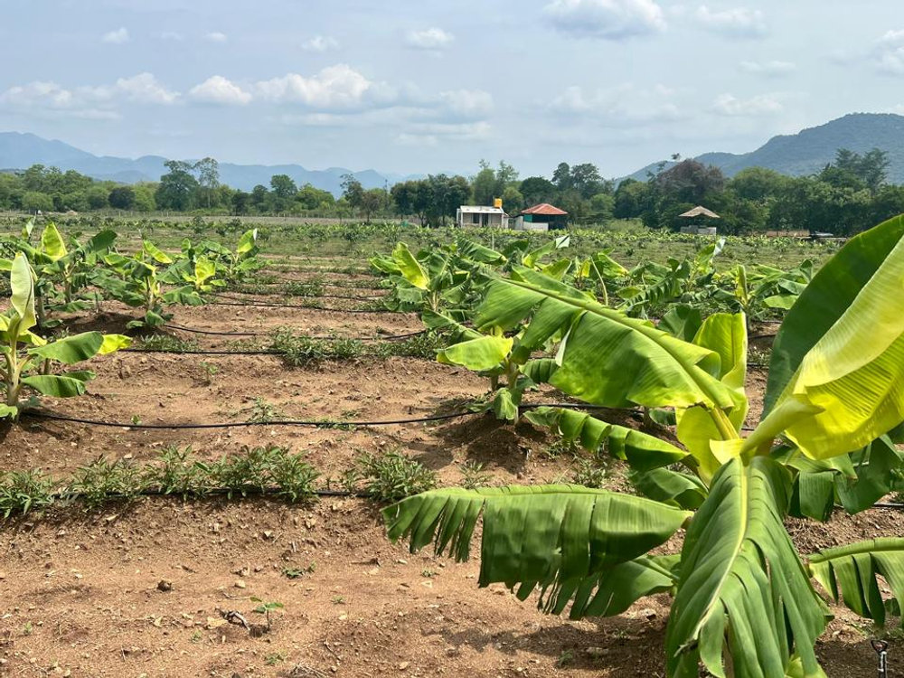 Brindavan Estates_Brindavan_Estates_1